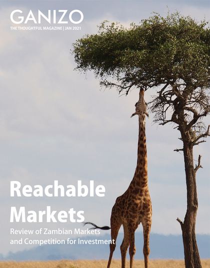Reachable Markets cover, Vol 01, Issue 13, January 2021